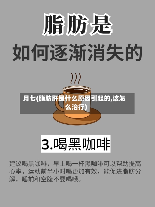 月七(脂肪肝是什么原因引起的,该怎么治疗)-第2张图片