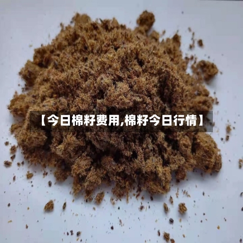 【今日棉籽费用,棉籽今日行情】