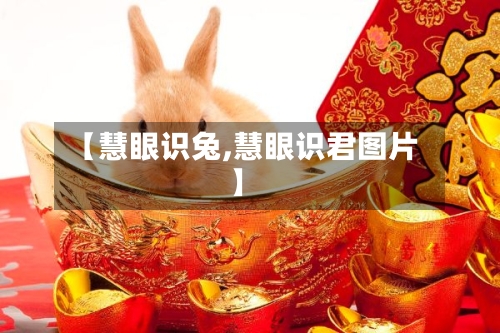 【慧眼识兔,慧眼识君图片】
