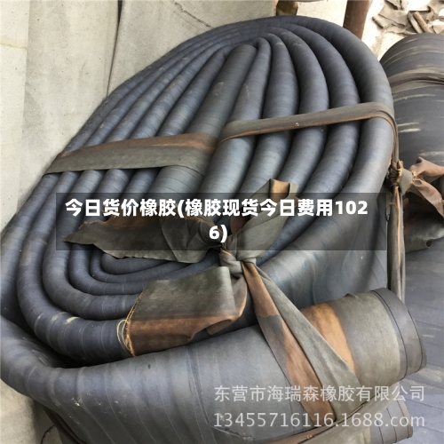 今日货价橡胶(橡胶现货今日费用1026)