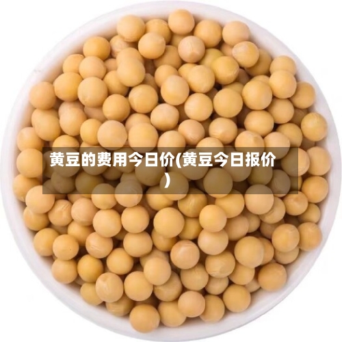 黄豆的费用今日价(黄豆今日报价)