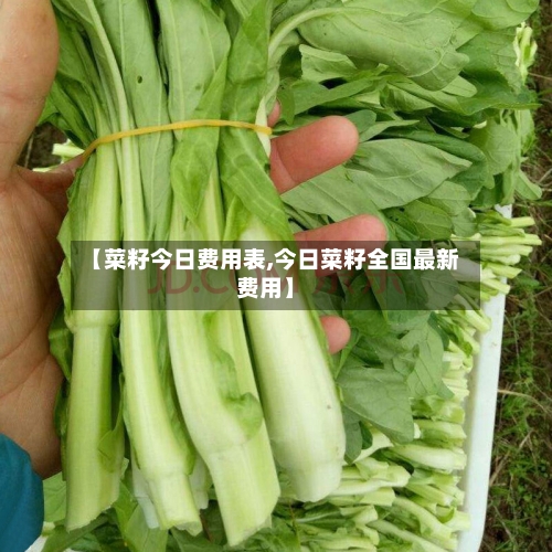 【菜籽今日费用表,今日菜籽全国最新费用】-第3张图片