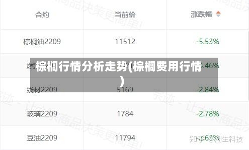 棕榈行情分析走势(棕榈费用行情)-第2张图片