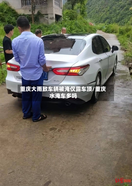 重庆大雨致车辆被淹仅露车顶/重庆水淹车多吗-第3张图片