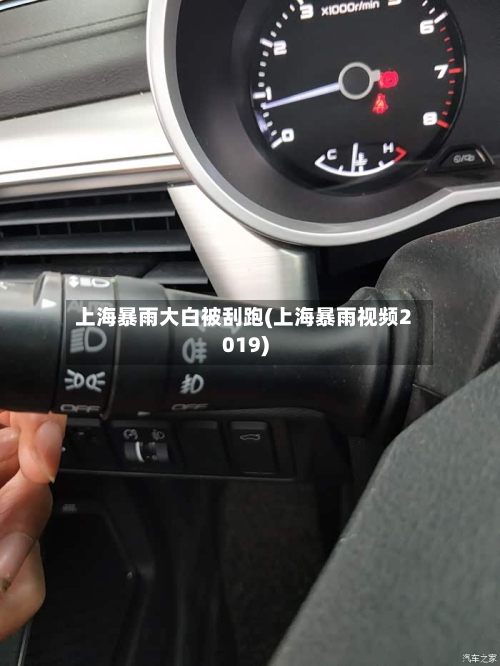 上海暴雨大白被刮跑(上海暴雨视频2019)-第3张图片