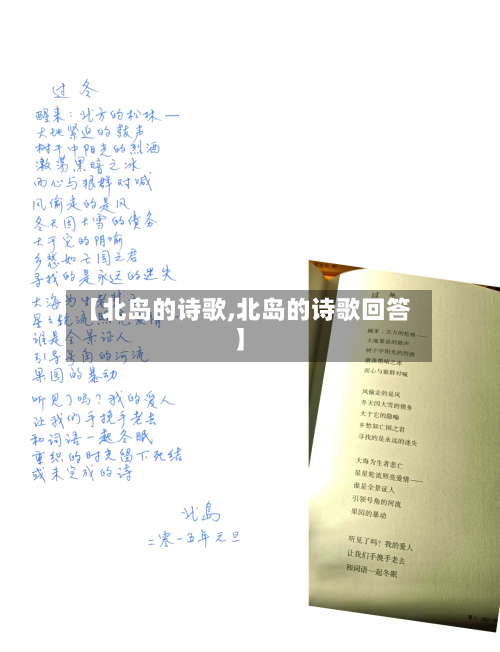 【北岛的诗歌,北岛的诗歌回答】-第3张图片