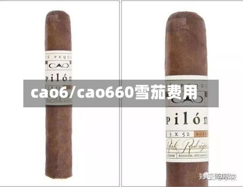 cao6/cao660雪茄费用-第2张图片