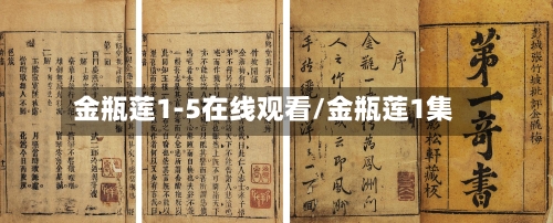 金瓶莲1-5在线观看/金瓶莲1集-第2张图片