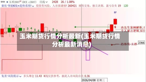 玉米期货行情分析最新(玉米期货行情分析最新消息)-第2张图片
