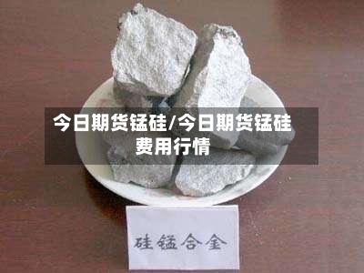 今日期货锰硅/今日期货锰硅费用行情