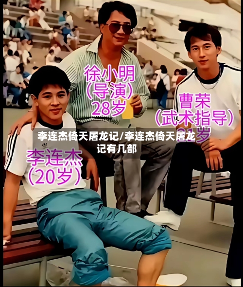 李连杰倚天屠龙记/李连杰倚天屠龙记有几部-第2张图片