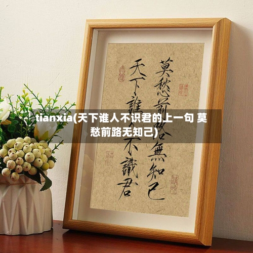 tianxia(天下谁人不识君的上一句 莫愁前路无知己)-第2张图片