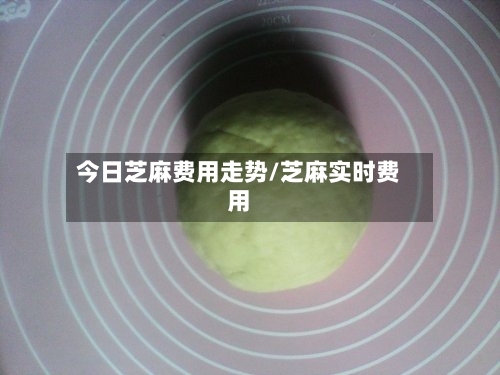 今日芝麻费用走势/芝麻实时费用