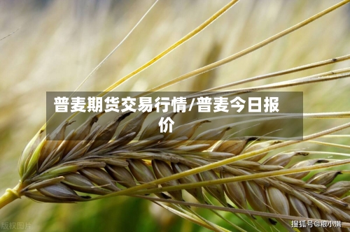 普麦期货交易行情/普麦今日报价-第2张图片