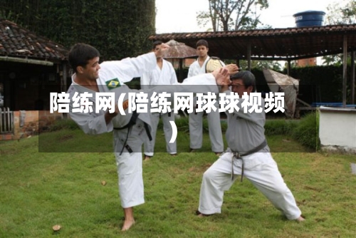 陪练网(陪练网球球视频)-第2张图片
