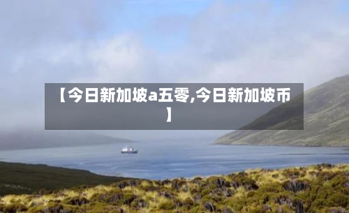 【今日新加坡a五零,今日新加坡币】-第2张图片