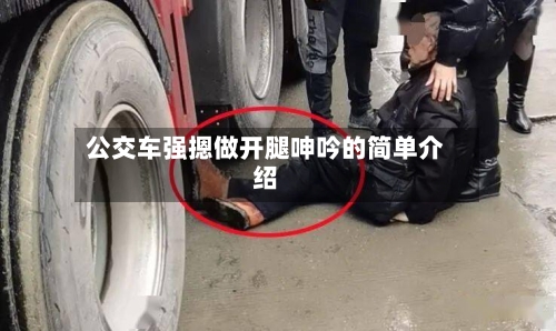 公交车强摁做开腿呻吟的简单介绍-第3张图片