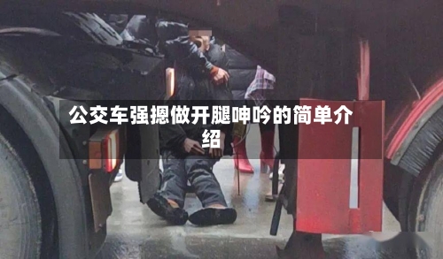 公交车强摁做开腿呻吟的简单介绍