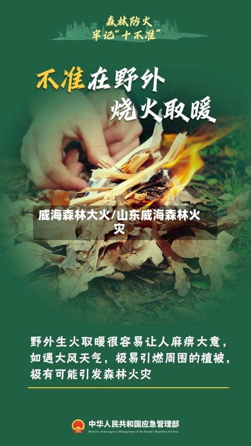 威海森林大火/山东威海森林火灾