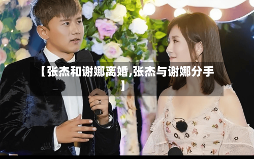 【张杰和谢娜离婚,张杰与谢娜分手】-第3张图片