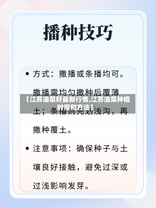 【江苏油菜籽最新行情,江苏油菜种植时间和方法】