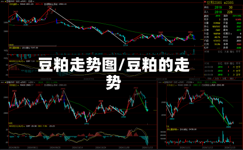 豆粕走势图/豆粕的走势