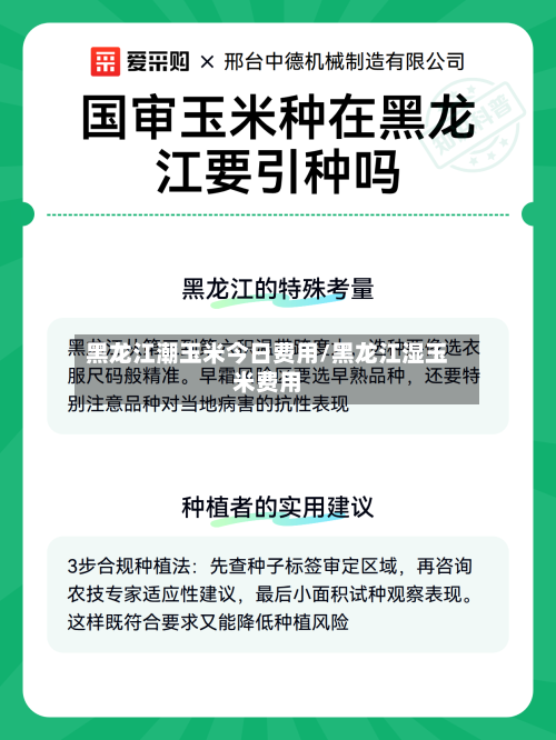 黑龙江潮玉米今日费用/黑龙江湿玉米费用-第2张图片