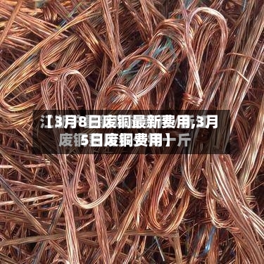 【3月8日废铜最新费用,3月5日废铜费用】