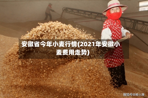 安徽省今年小麦行情(2021年安徽小麦费用走势)-第2张图片