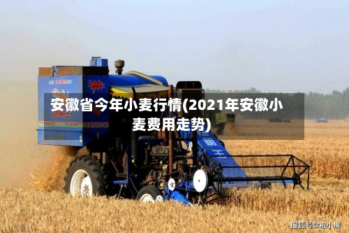 安徽省今年小麦行情(2021年安徽小麦费用走势)