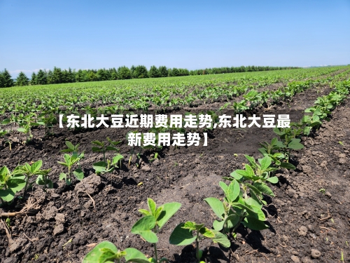 【东北大豆近期费用走势,东北大豆最新费用走势】