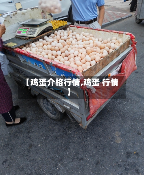 【鸡蛋介格行情,鸡蛋 行情】-第2张图片