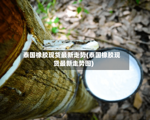 泰国橡胶现货最新走势(泰国橡胶现货最新走势图)