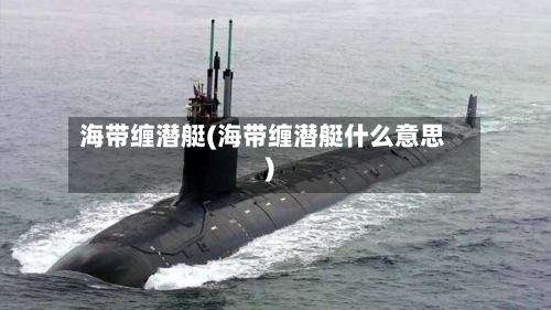 海带缠潜艇(海带缠潜艇什么意思)-第2张图片