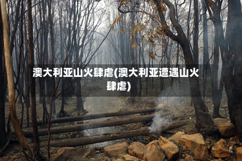 澳大利亚山火肆虐(澳大利亚遭遇山火肆虐)