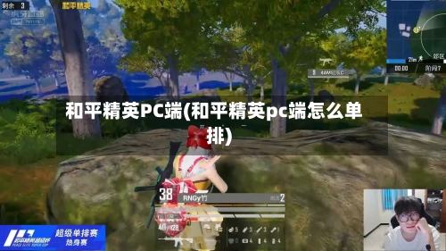 和平精英PC端(和平精英pc端怎么单排)