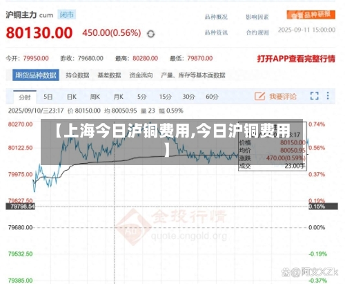 【上海今日泸铜费用,今日沪铜费用】-第3张图片